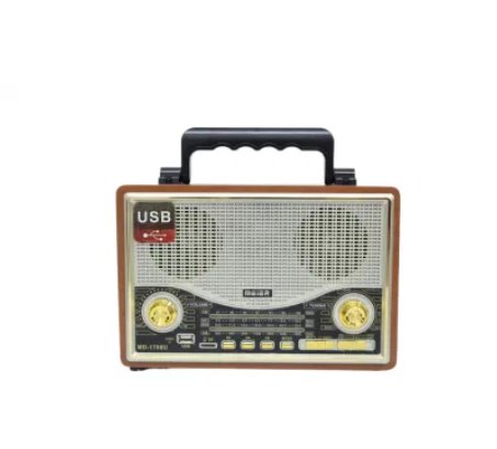 Portable Wireless Radio